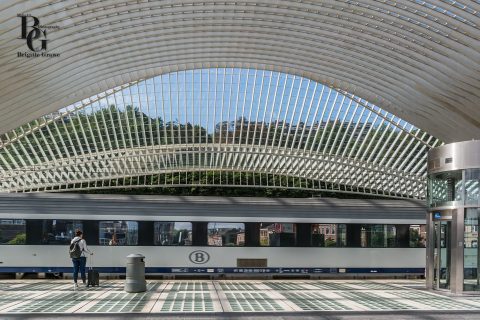 Architektur- & Reisefotografie | Bahnhof Liège-Guillemins
